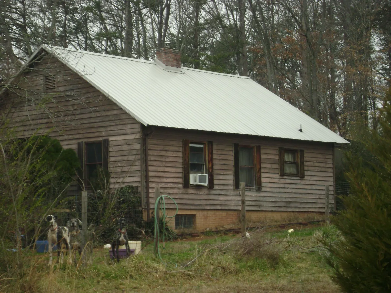 White metal roof on an old wood sided farmhouse, from a Metal Roof Installation job in Sibley